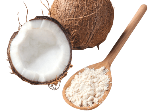 kokosovo-brashno-keto-2023